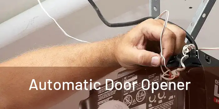  Automatic Door Opener 